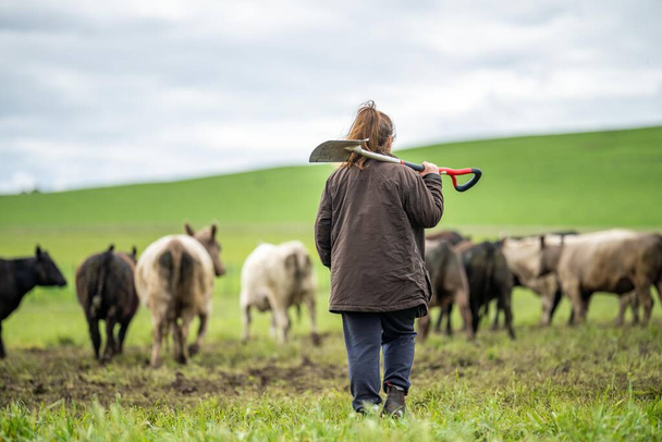 Kadın çiftçi çiftlikte toprak test ediyor. - Fotoğraf, Görsel