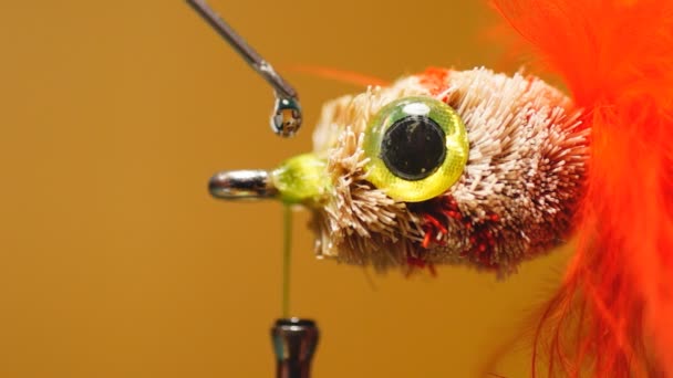 Fly fishing lure - Footage, Video