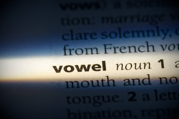 palabra vocal, resaltado en el diccionario, vista de cerca - Foto, imagen