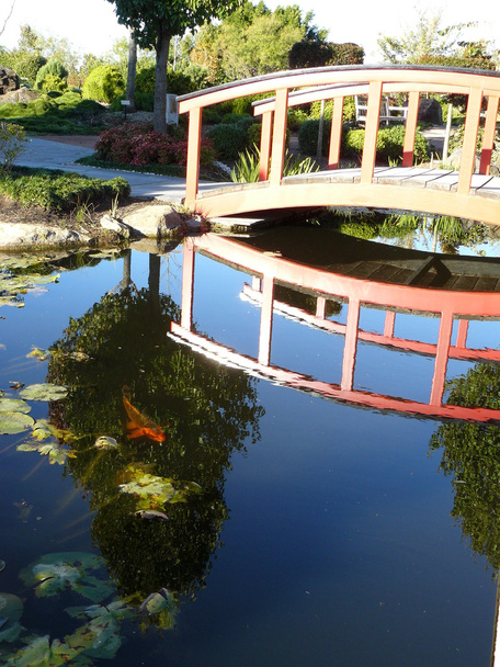 Japanse tuin met bridge - Foto, afbeelding