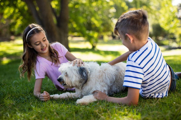 Boy and girl with dog in park - Photo, Image