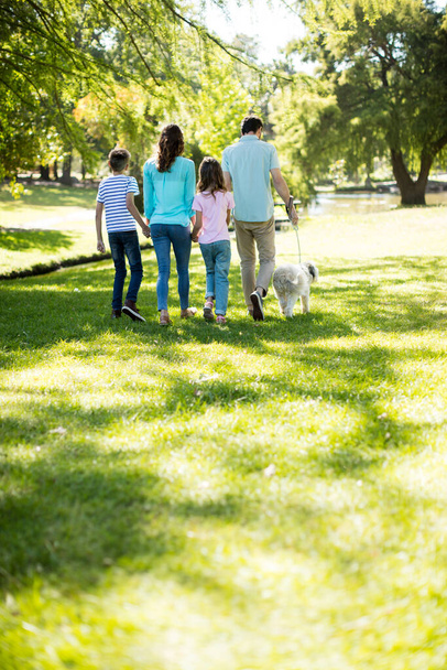 Šťastná rodina si užívat volný čas v parku - Fotografie, Obrázek