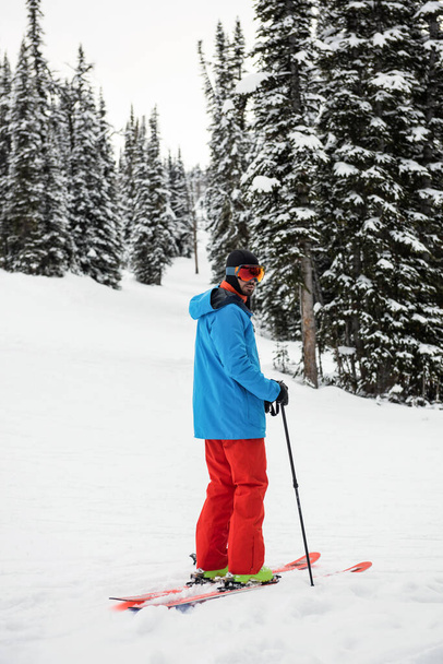 Σκιέρ σκι στο χιόνι που καλύπτει τα βουνά - Φωτογραφία, εικόνα