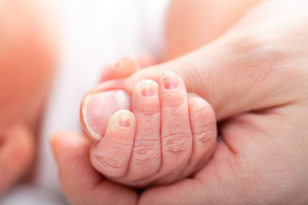 Baby holding mother's thumb - Photo, Image