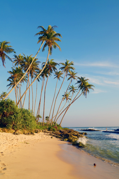 Idyllic beach. Sri Lanka - Fotó, kép