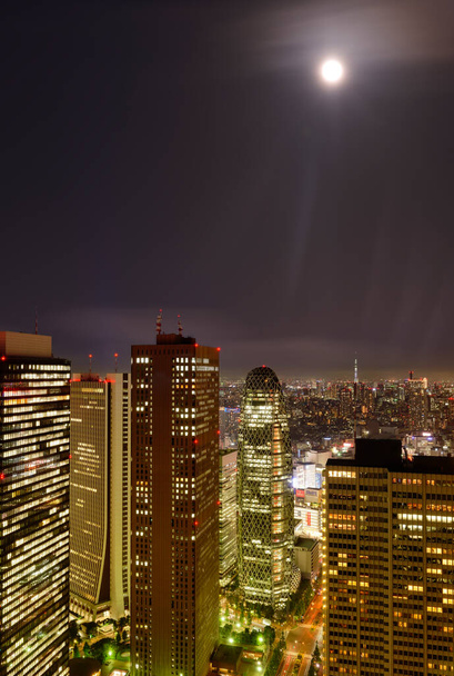 "Night-time panoramic view from the Tokyo Metropolitan Government" - Fotoğraf, Görsel
