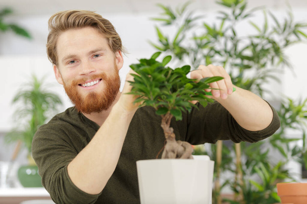happy man forms the crown of small ornamental bonsai tree - Фото, изображение