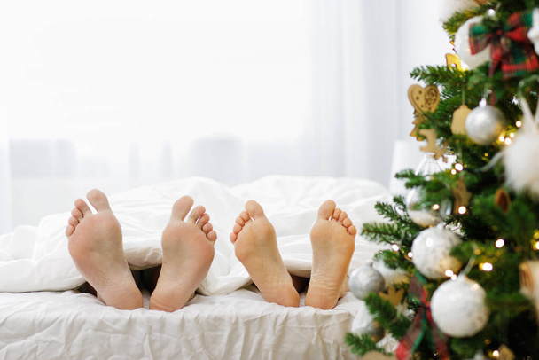 close up of male and female legs under blanket and christmas tree - Photo, Image