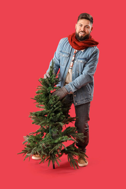 Handsome man with Christmas tree on red background - Фото, изображение
