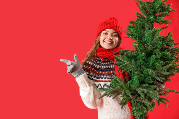 Young woman with Christmas tree pointing at something on red background - Foto, afbeelding