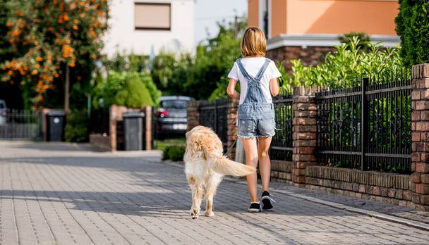 Preteen girl with golden retriever dog walking at street. Pretty child kid with purebred dog labrador in park outdoors. Back view - Фото, зображення