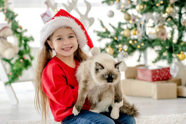 Child girl holding ragdoll cat in Christmas time, looking at camera and smiling. Pretty kid wearing Santa hat with domestic animal at home in New Year - Photo, image