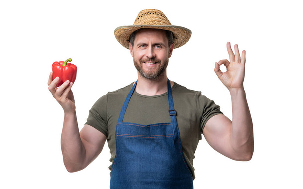 man in apron and hat with fresh sweet pepper vegetable isolated on white. - Zdjęcie, obraz