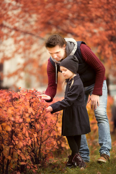 Pieni suloinen tyttö isän kanssa syksyllä puistossa lämpimänä päivänä
 - Valokuva, kuva