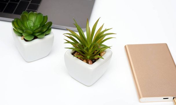  otevřený notebook, zlatá power banka a dvě rostliny v keramické bílé  - Fotografie, Obrázek