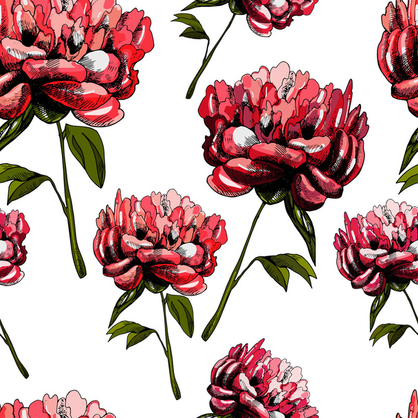 Pattern with beautiful flowers peonies - Vector, Image