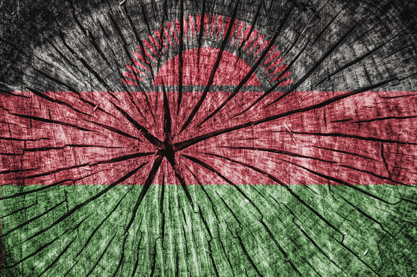 Flag of Malawi - Photo, Image