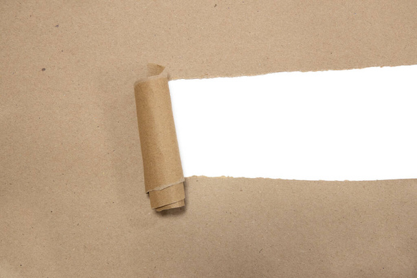 torn brown package rolled up  paper with blank white copyspace - Fotografie, Obrázek