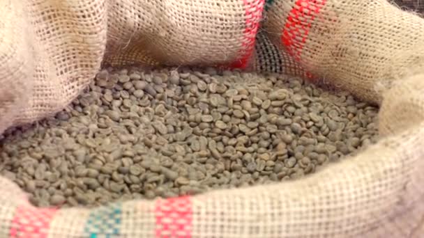 焙煎前に袋に入った緑のコーヒー豆。高品質のフルHD映像 - 映像、動画