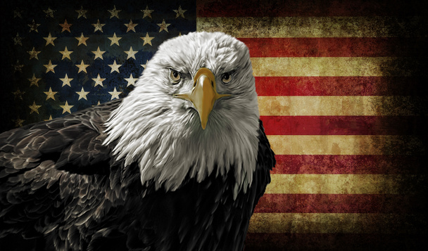American Bald Eagle on Grunge Flag - Photo, Image