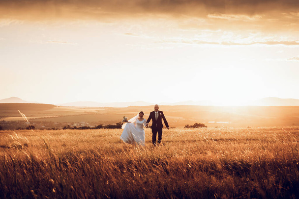 The bride and groom hold hands and look to the future in the middle of nature, the newlyweds walk together,wedding photography,until death do us part - Foto, afbeelding