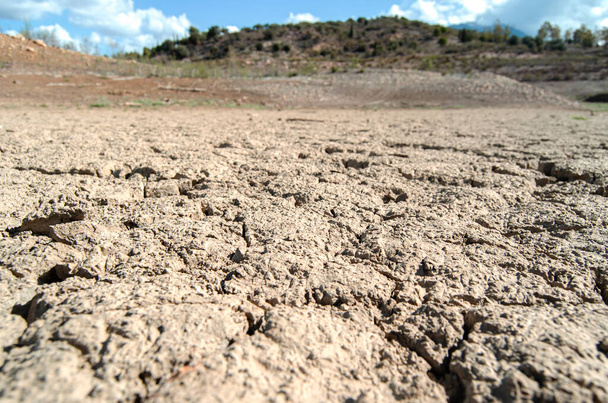 Paisaje con tierra seca agrietada pantano. Sequia, textura. - Photo, Image