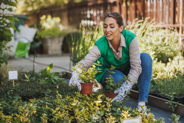 jong geschoolde vrouw ondernemer werken in een tuin centrum, het houden en regelen van bloempotten. - Foto, afbeelding