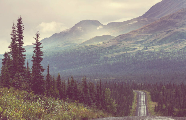 Highway in Alaska, United States - Foto, Imagen