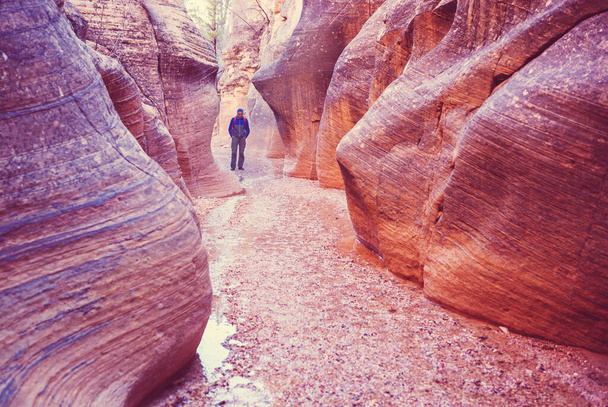 Slot canyon in Grand Staircase Escalante National park, Utah, EUA. Formações de arenito coloridas incomuns em desertos de Utah são destino popular para caminhantes. - Foto, Imagem