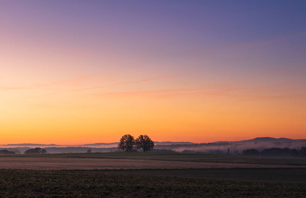 Meadow with tree and distant hill in misty fog at morning sunrise. Czech landscape, blue hour - Photo, Image