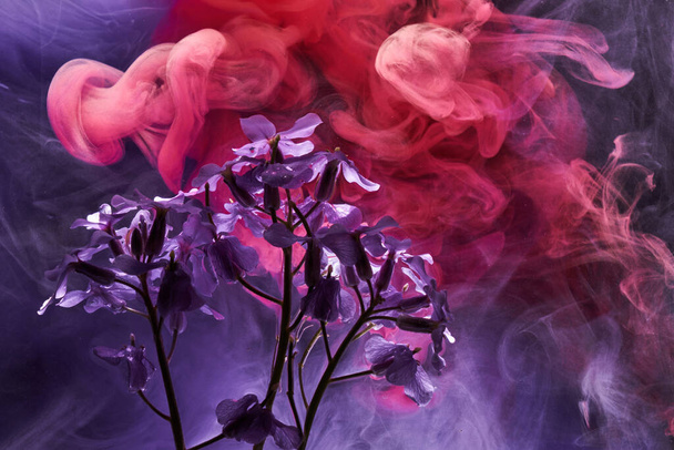 Abstract purple pink background with flowers and paints in water. Backdrop for perfume, cosmetic products - Zdjęcie, obraz