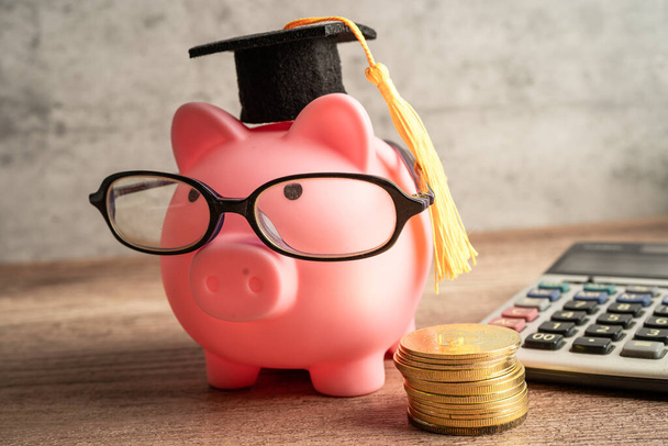 Банк свиней в очках с монетой, калькулятором и шляпой для выпускников, сохраняя концепцию банковского образования. - Фото, изображение