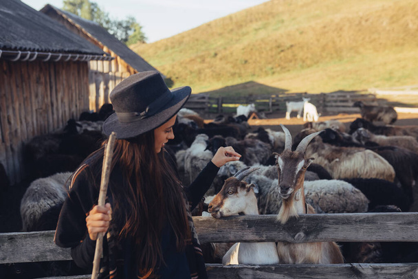 A young beautiful woman near a pen with goats poses for the camera - Valokuva, kuva