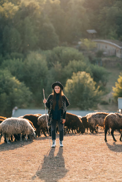 Female shepherd and flock of sheep at a lawn - Foto, Imagen