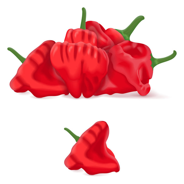 Group of Red scotch bonnet peppers. Capsicum chinense. Hot chili pepper. Fresh organic vegetables. Vector illustration isolated on white background. - Vector, Image