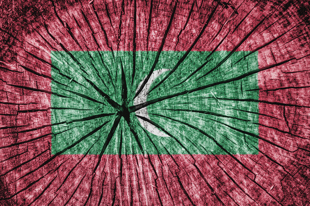 モルディブの国旗 - 写真・画像