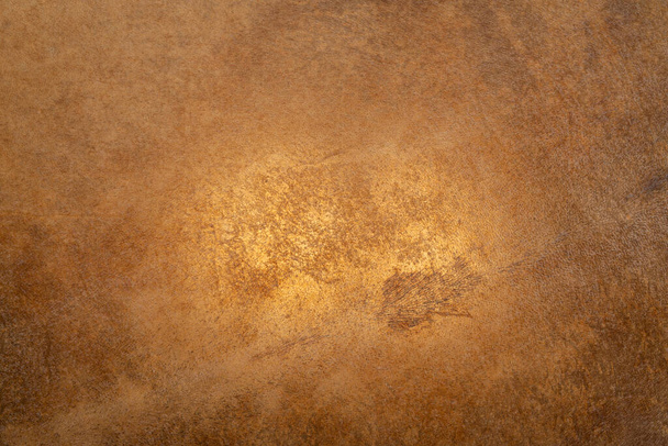 texture of a goat skin on a  shaman frame drum with backlight - Zdjęcie, obraz