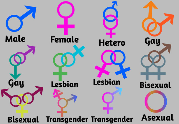 A Sexual Orientation Icon Symbol Shape Sign Logo Sitio web Género Concepto sexual Página web Diseño de botones Pictogramas de usuario Interfaz Arte Ilustración Infografía - Foto, Imagen