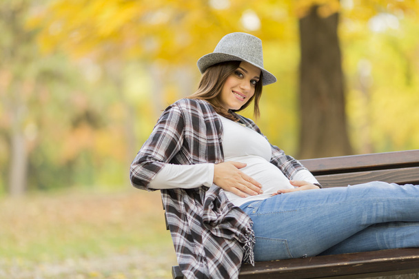 Giovane donna incinta nel parco autunnale
 - Foto, immagini