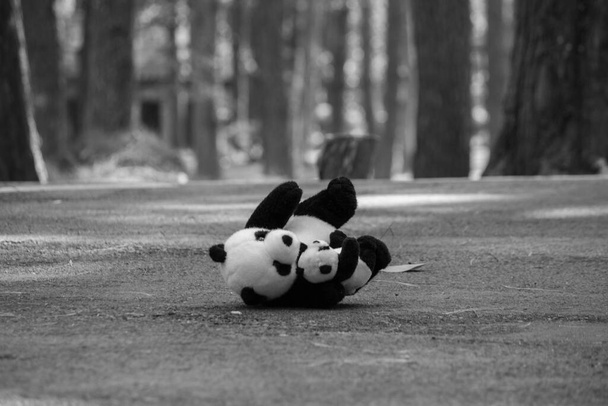Lalka panda została sama na drodze w sosnowym lesie. Koncepcja emocji i ekspresji. - Zdjęcie, obraz
