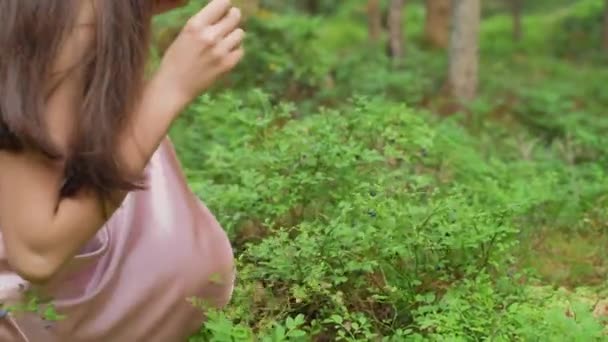 A lány szedi a bogyókat az erdőben. Kiváló minőségű 4k felvételek - Felvétel, videó