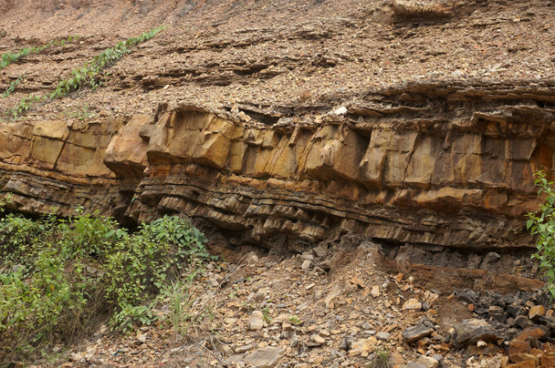 layers of sedimentary rock outcrops,  Sandstone, silt outcrops. Location: Sangatta, East Kalimantan/Indonesia                                                            - Photo, Image
