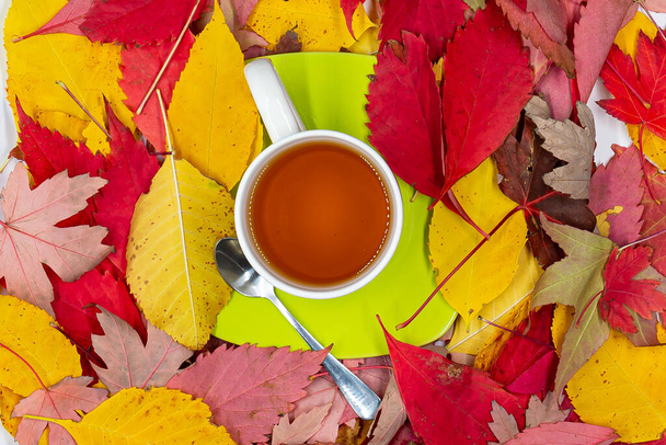 Taza de té con platillo verde y cucharadita sobre hojas con los colores del otoño. Bebidas calientes. Escena de otoño. - Foto, imagen