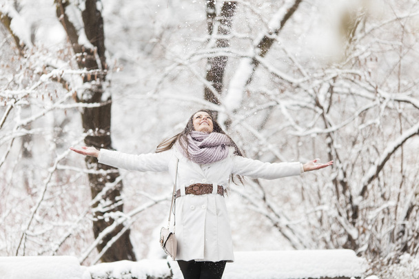 młoda kobieta w zimie - Zdjęcie, obraz