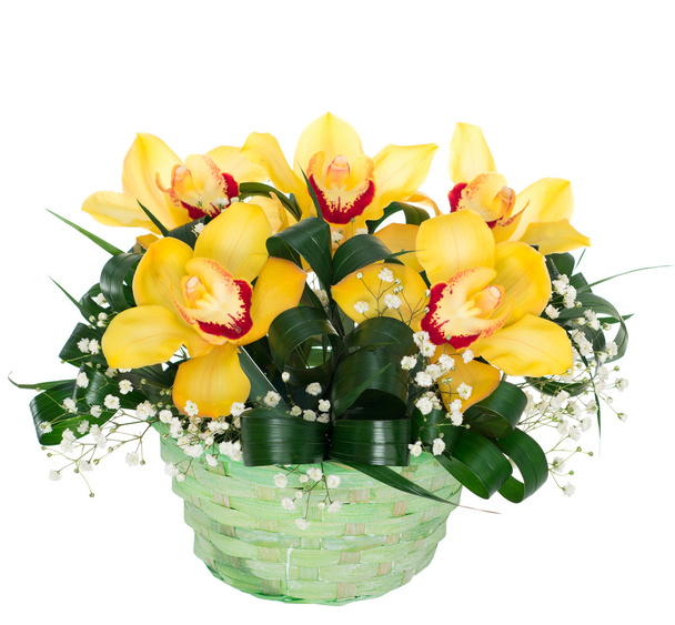 Panier avec des fleurs d'orchidée. isolé
 - Photo, image