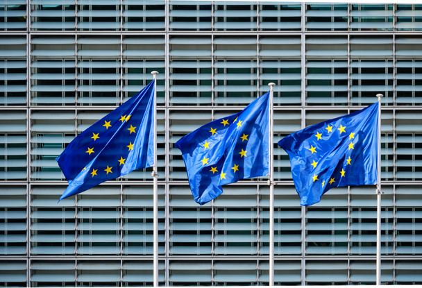 Avrupa Komisyonu önünde AB bayrakları - Fotoğraf, Görsel