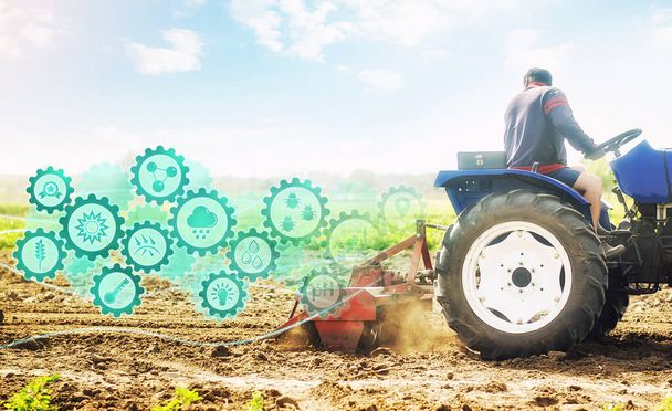Agriculteur sur un tracteur cultive un champ agricole et l'innovation technologique engrenages hologramme. Science de l'agronomie. Démarrages agricoles et agricoles. Améliorer l'efficacité. Fraisage, émiettage et mélange du sol - Photo, image