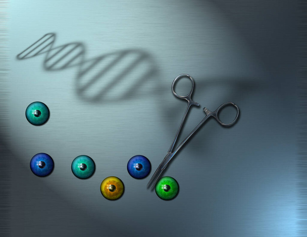 Silmämunat ja DNA-leikkaus - Valokuva, kuva