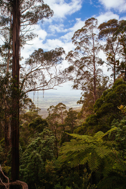 Fred Piper Memorial Lookout Australia - Photo, Image