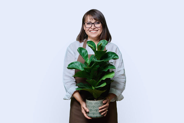Portrait of smiling middle aged professional woman in apron with potted plant looking at camera on white studio background. Gardening landscaping plant growing selling business floristry advertising - Photo, image